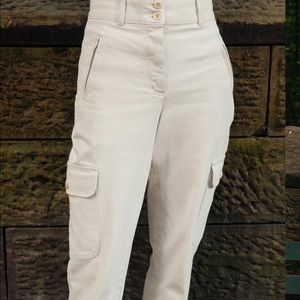 Aritzia Modern Cargo Pants